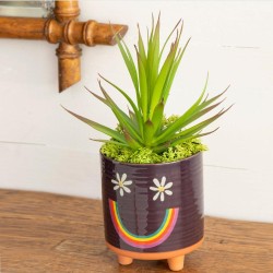 Übertopf Kaktus artisan Smiley-SALE