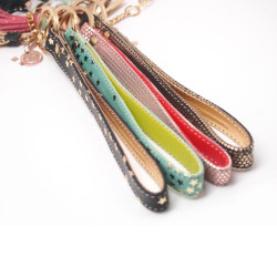 Schlüsselband Kosmos