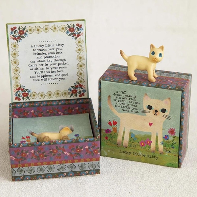 Lucky charm in a Box Kitty